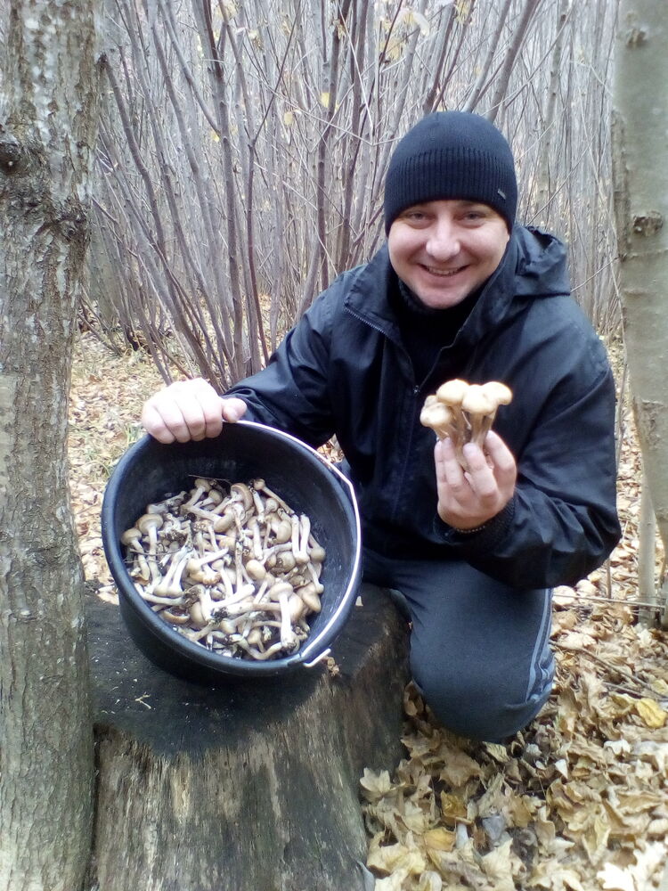  24052631  Egor, 41 ,    