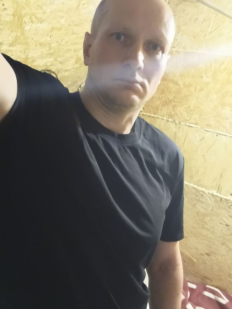 ���� 56005581 ������� �������, 41 ���, ���� ���������� � ������ ����