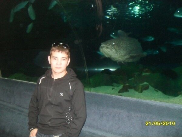 ���� 4504011 ������� ����, 36 ���, ���� ���������� � ����������