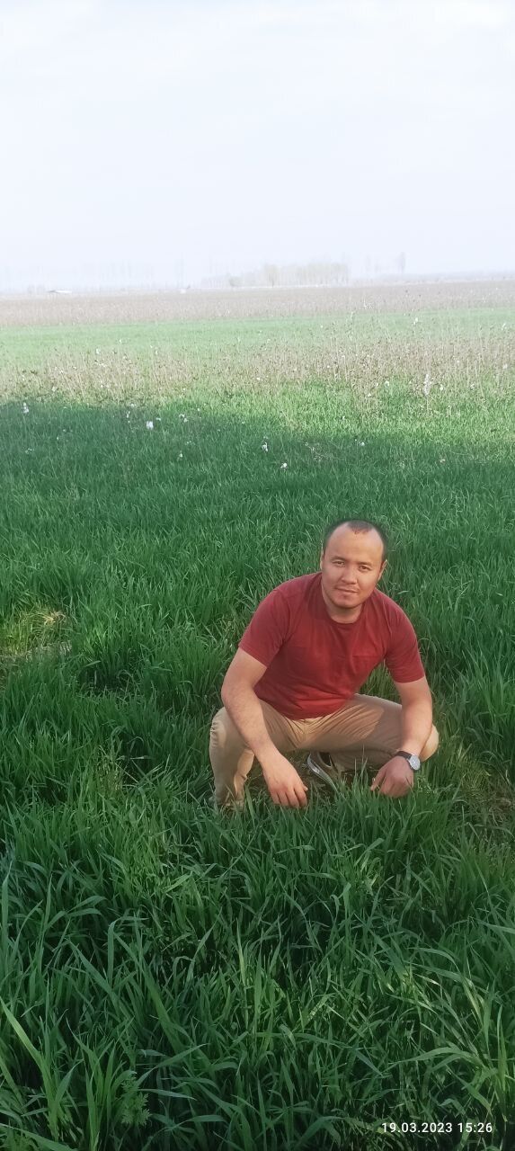 ���� 33681521 ������� Bah, 38 ���, ���� ���������� � ��������