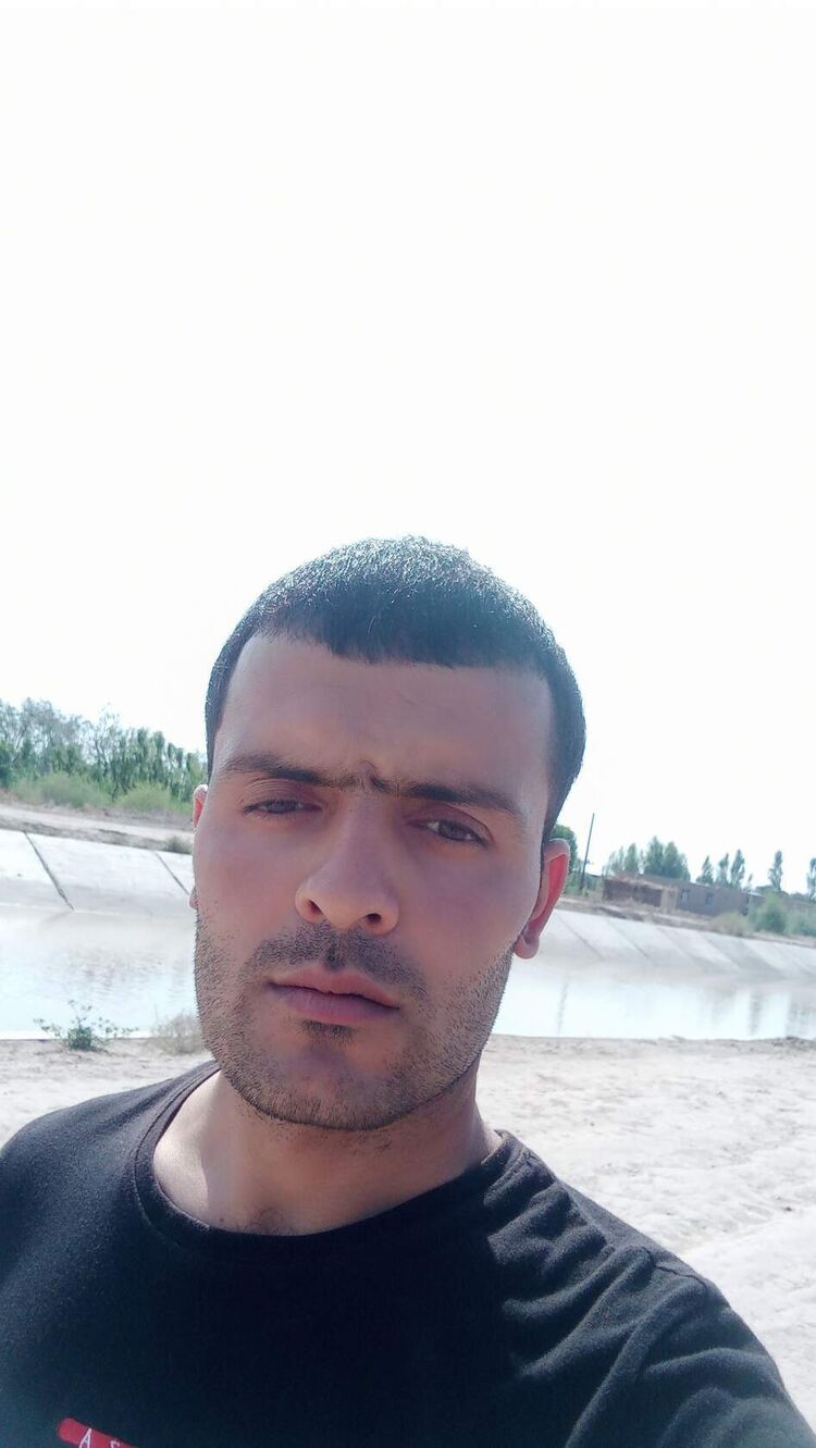  34488031  , 33 ,    
