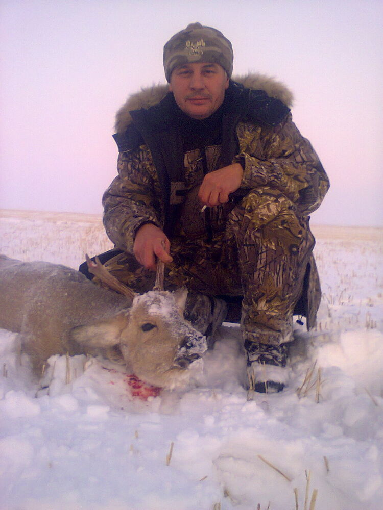 ���� 51871301 ������� ��������, 56 ���, ���� ���������� � ����������