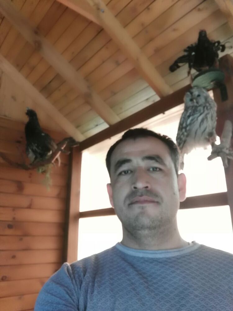 ���� 19762401 ������� �����, 40 ���, ���� ���������� � ������