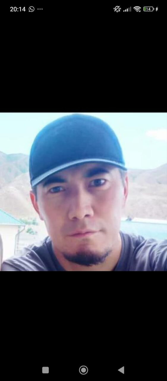 ���� 56130081 ������� ����, 43 ����, ���� ���������� � �������