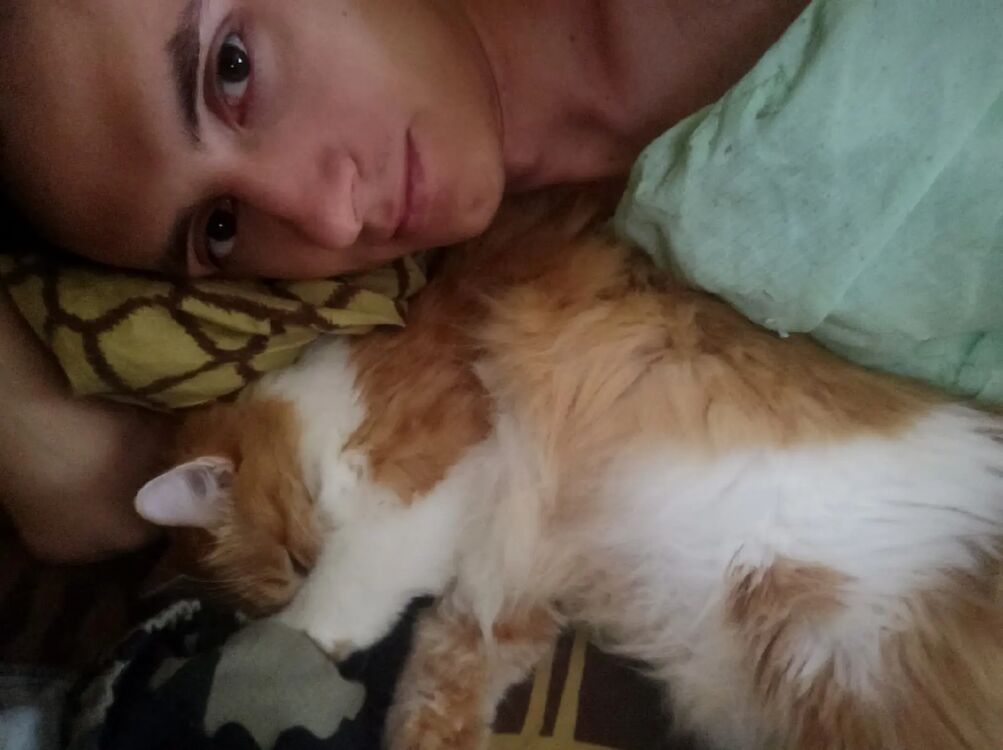  ,   , 27 ,   c 