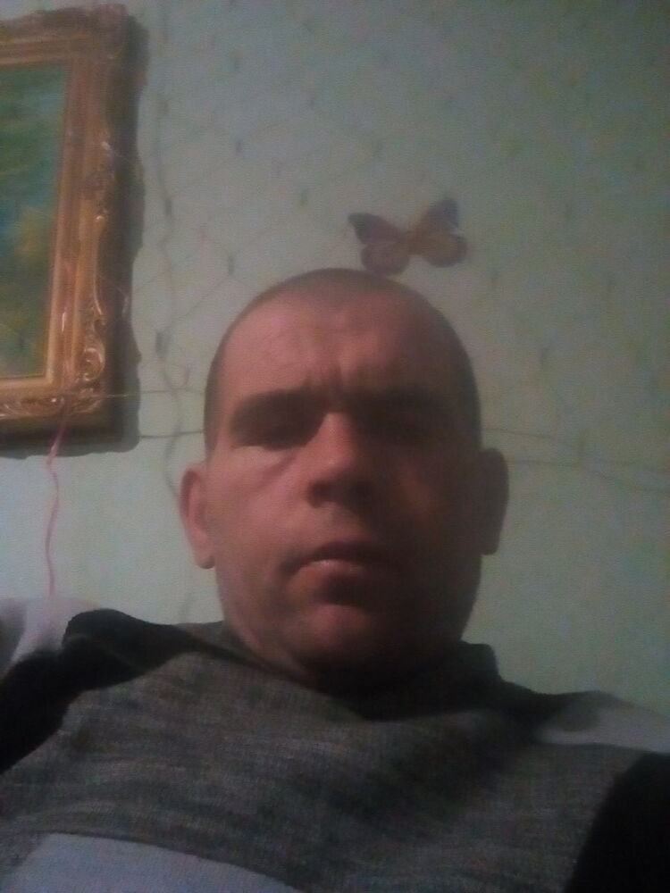 ���� 18825701 ������� ������, 44 ����, ���� ���������� � ��������������