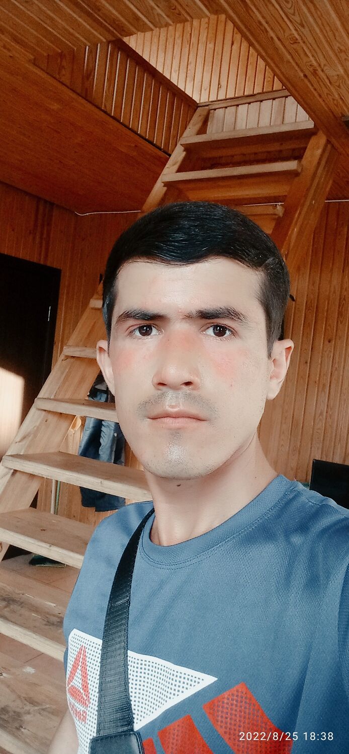 ���� 31366681 ������� SAFARALI, 29 ���, ���� ���������� � �����-����������