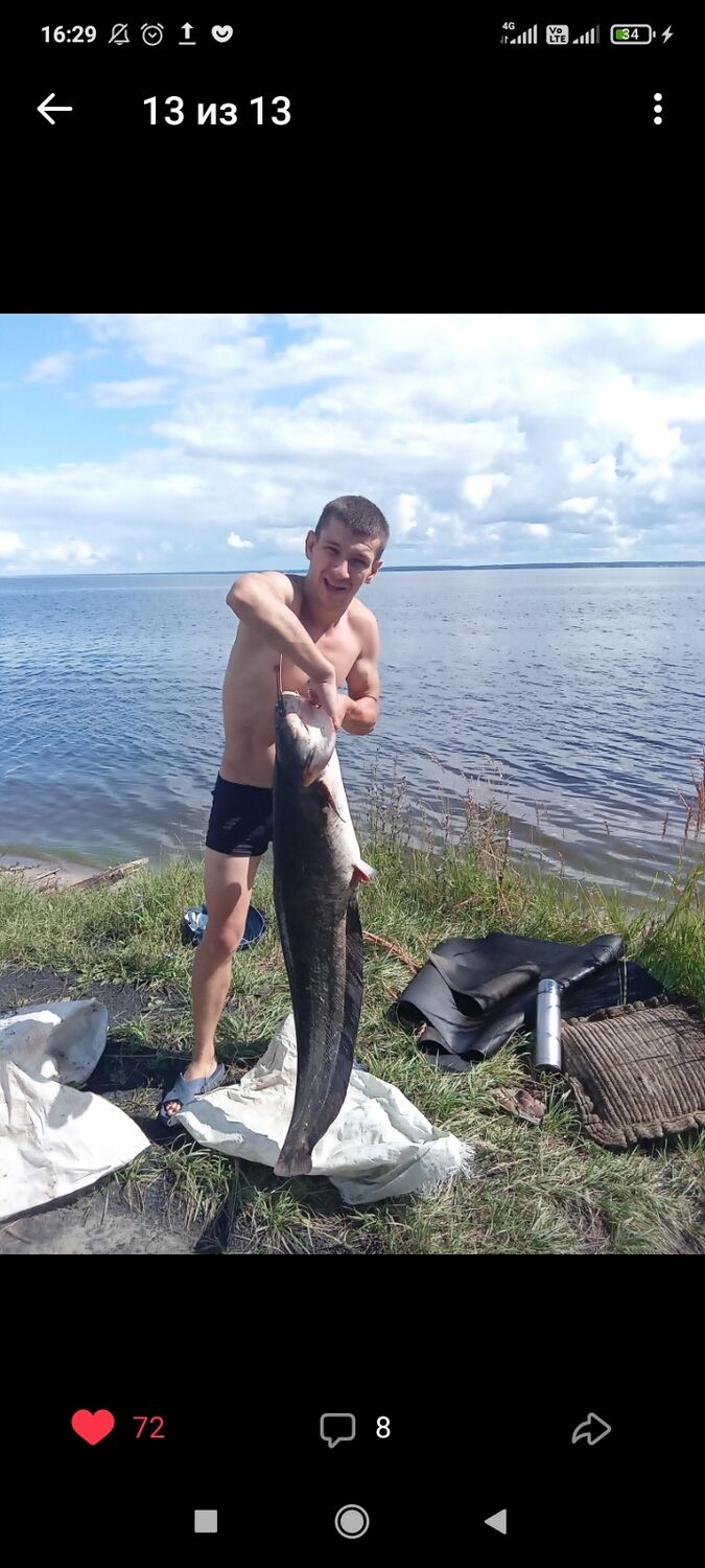 ���� 25806971 ������� ���������, 32 ����, ���� ���������� � ������