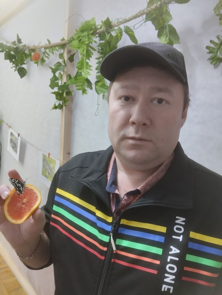 ���� 54833421 ������� ���������, 48 ���, ���� ���������� � �������