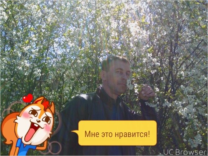  ,   , 48 ,   
