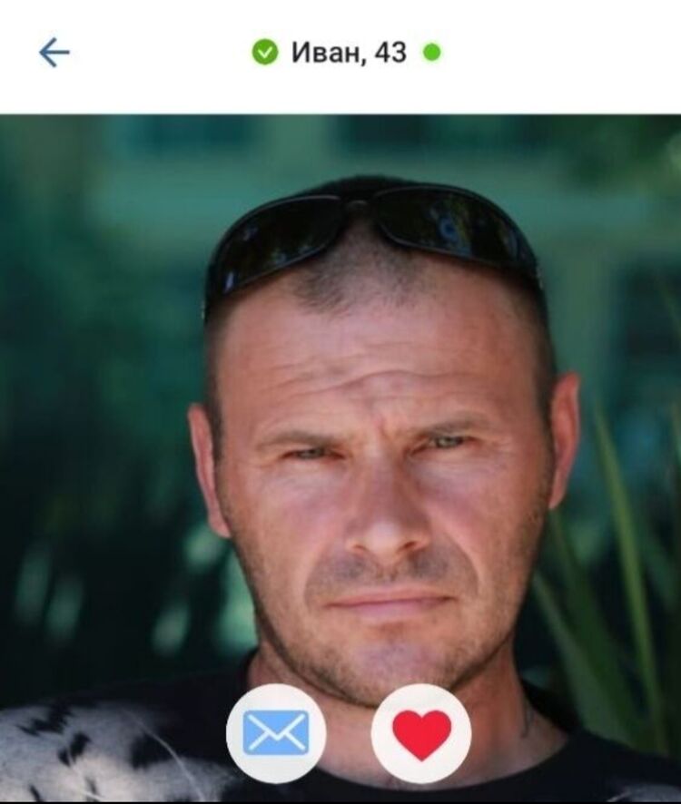  54340981  , 43 ,    -