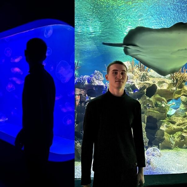 ���������� ����, ���� ����� ������, 23 ����, ������������ ��� ������, ����� � ���������, c�������� ���������, ���������