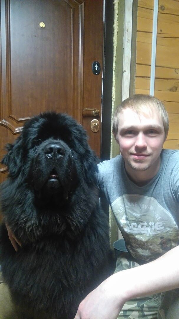 ���� 11233101 ������� ���������, 38 ���, ���� ���������� � �����-����������