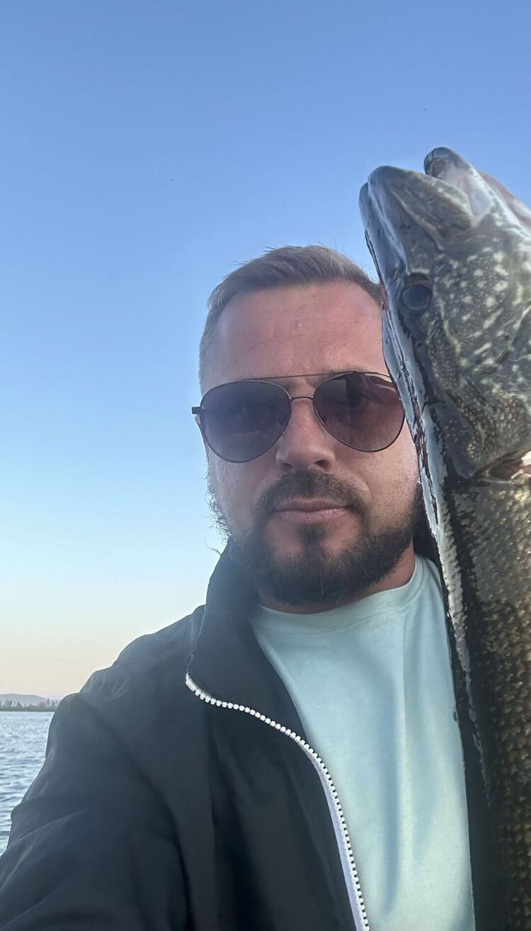  53976011  , 41 ,    -