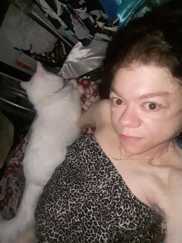  54241941  , 45 ,    -