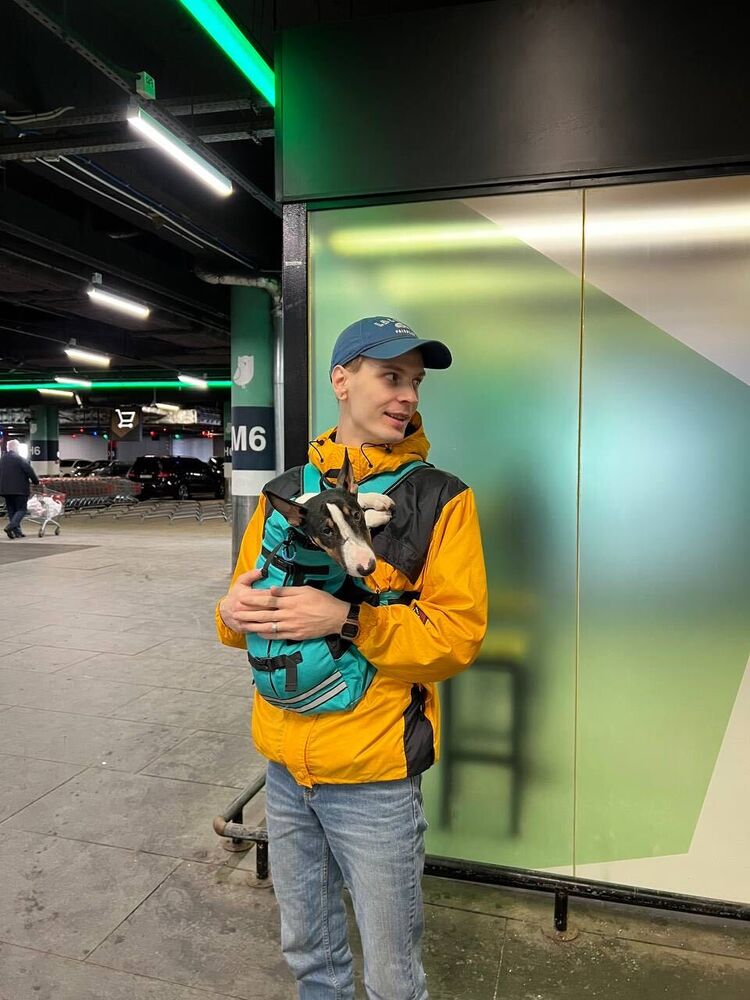 ���� 39964221 ������� �����, 28 ���, ���� ���������� � �����-����������