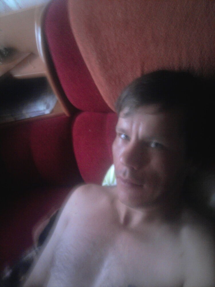  7800981  , 40 ,    
