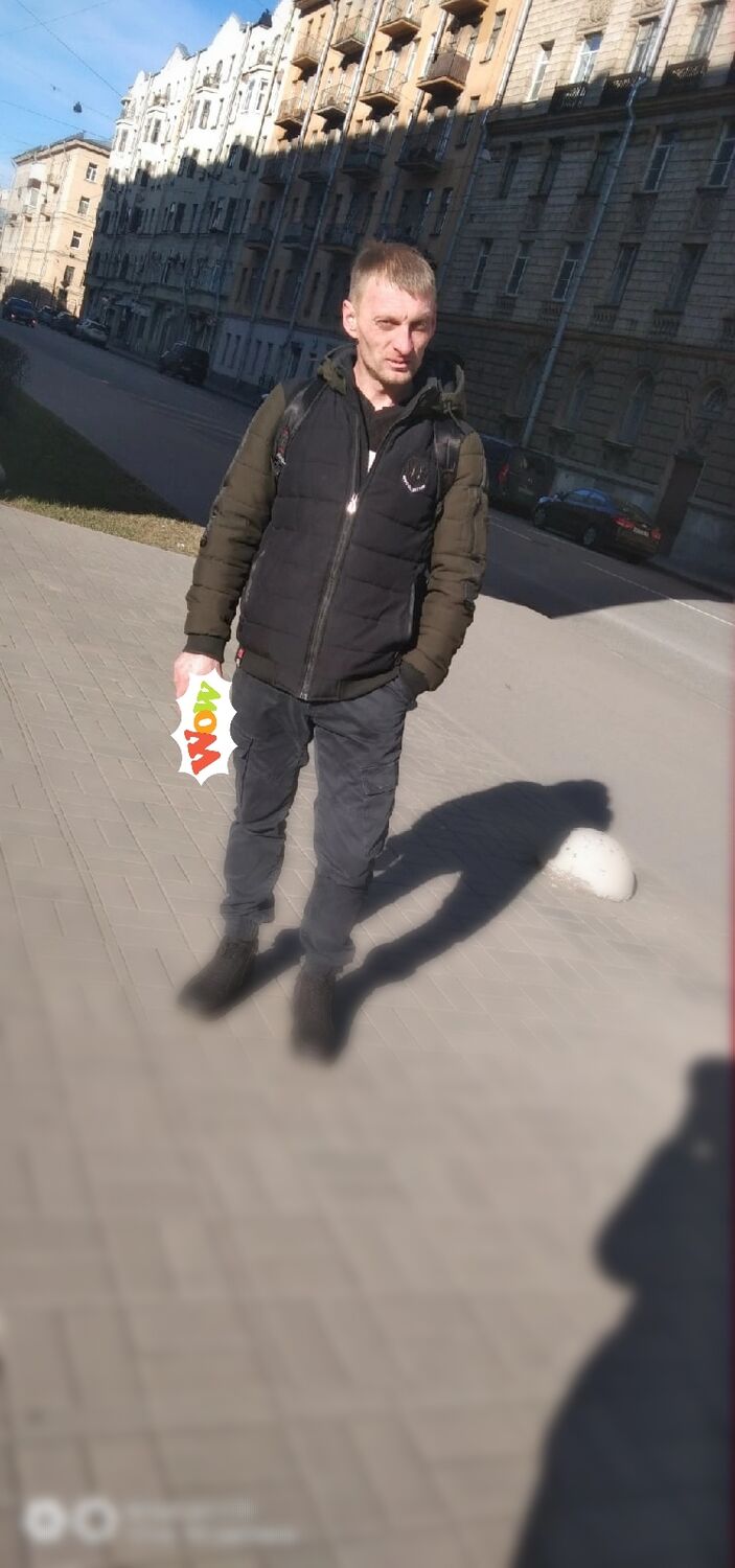  31499951  , 42 ,    -
