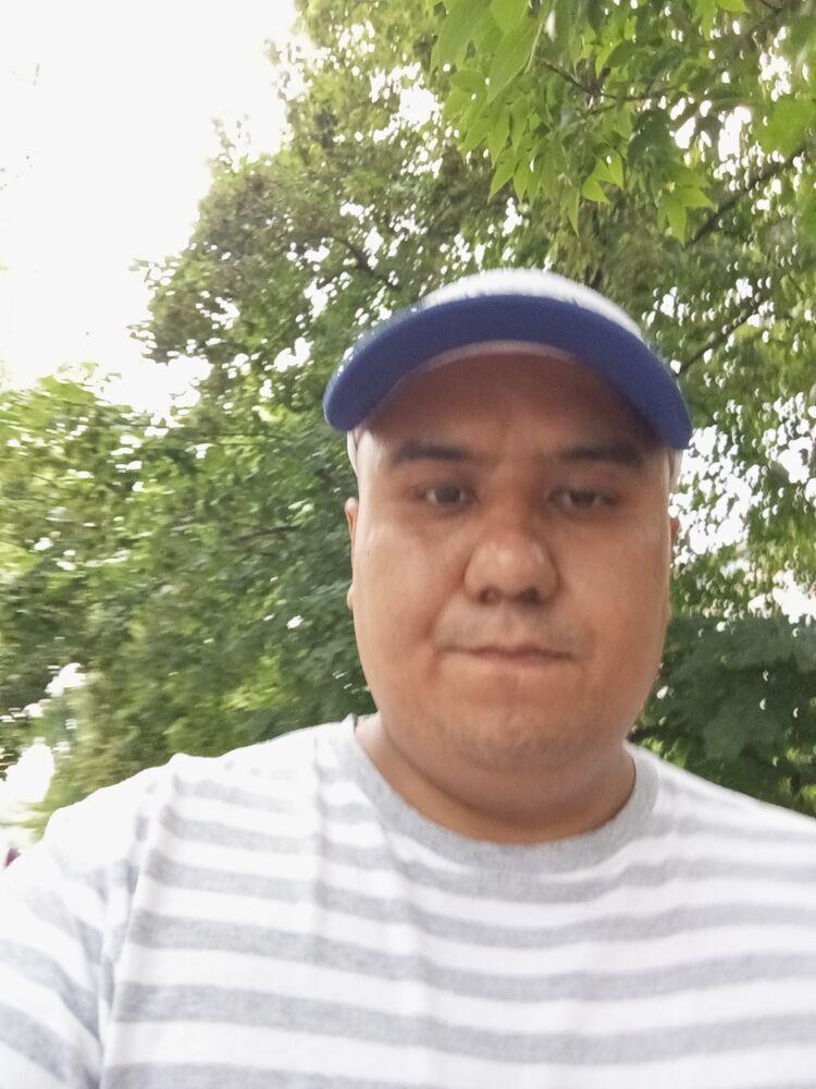  43838621  , 33 ,    