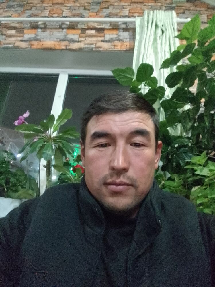  44644421  , 43 ,    -