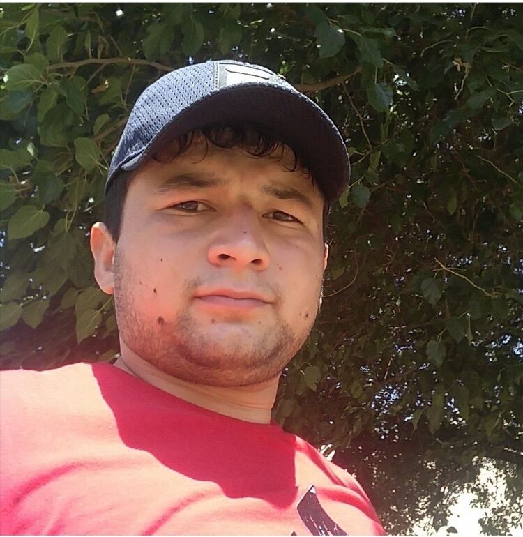 ���� 43771301 ������� �������, 29 ���, ���� ���������� � ����������