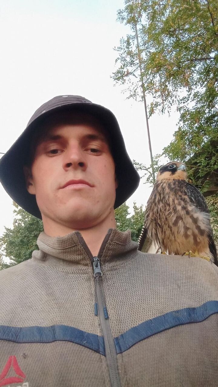 ���� 45156351 ����� ������, 23 ����, ���� ���������� � �������