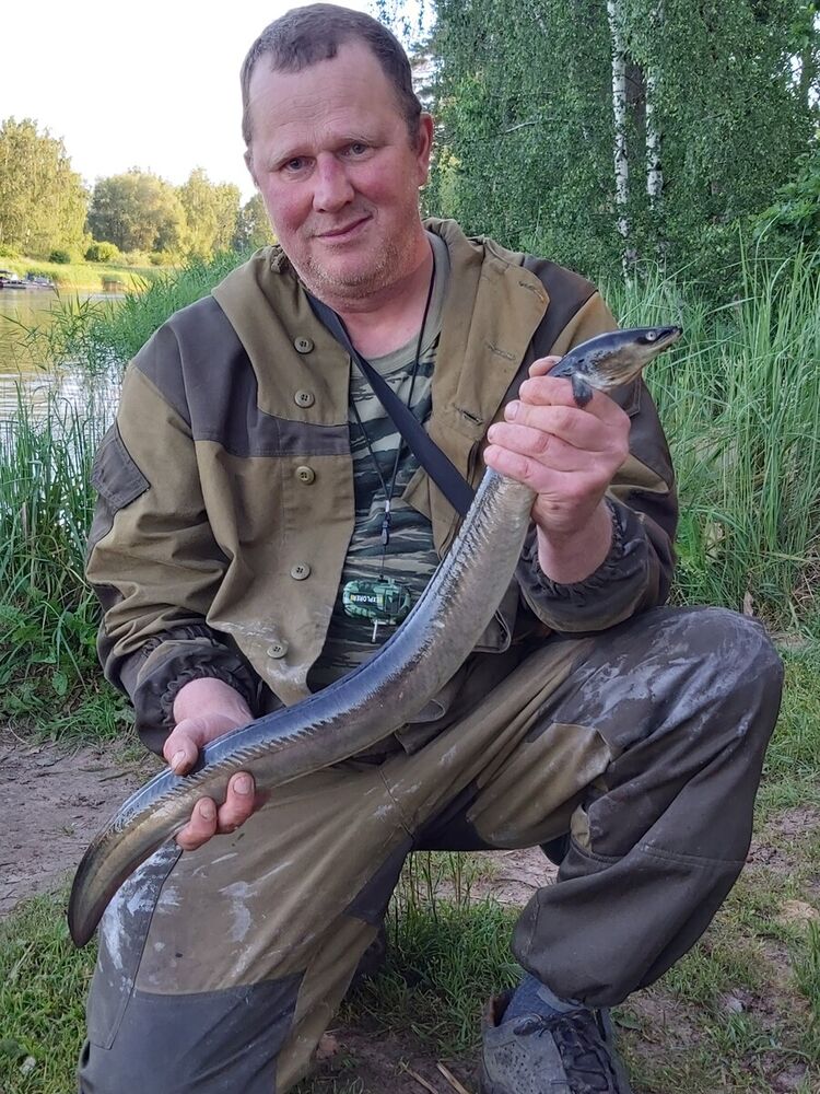  22475991  Andronio, 52 ,    