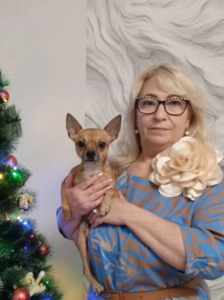 ���� 56058131 ������� �������, 61 ���, ���� ���������� � ������������