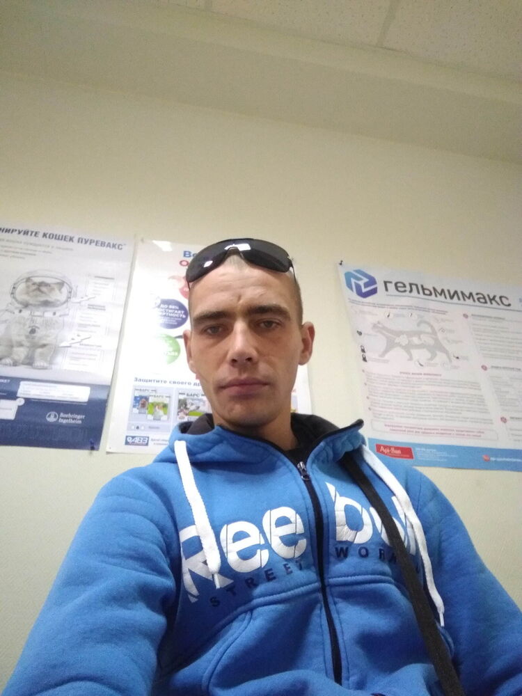 ���� 56160851 ������� ����, 34 ����, ���� ���������� � ����������