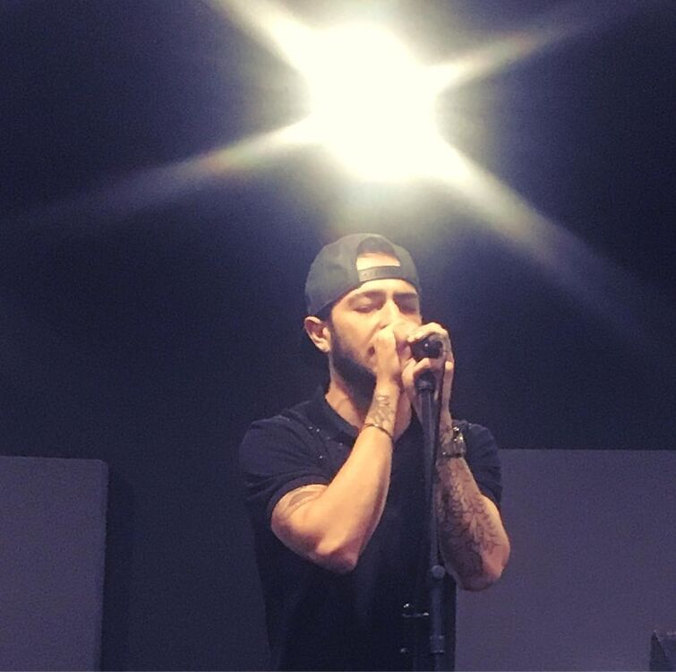 ���� 56005901 ������� Cheburashka, 41 ���, ���� ���������� � ���������