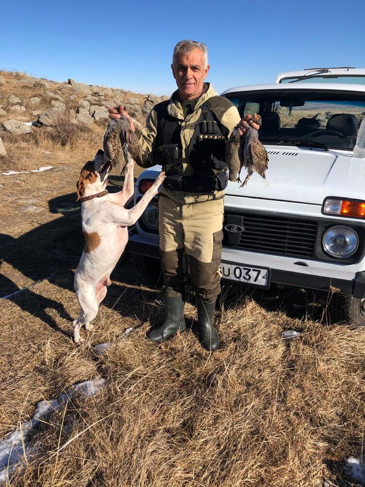 ���� 55852461 ������� �����, 55 ���, ���� ���������� � ��������