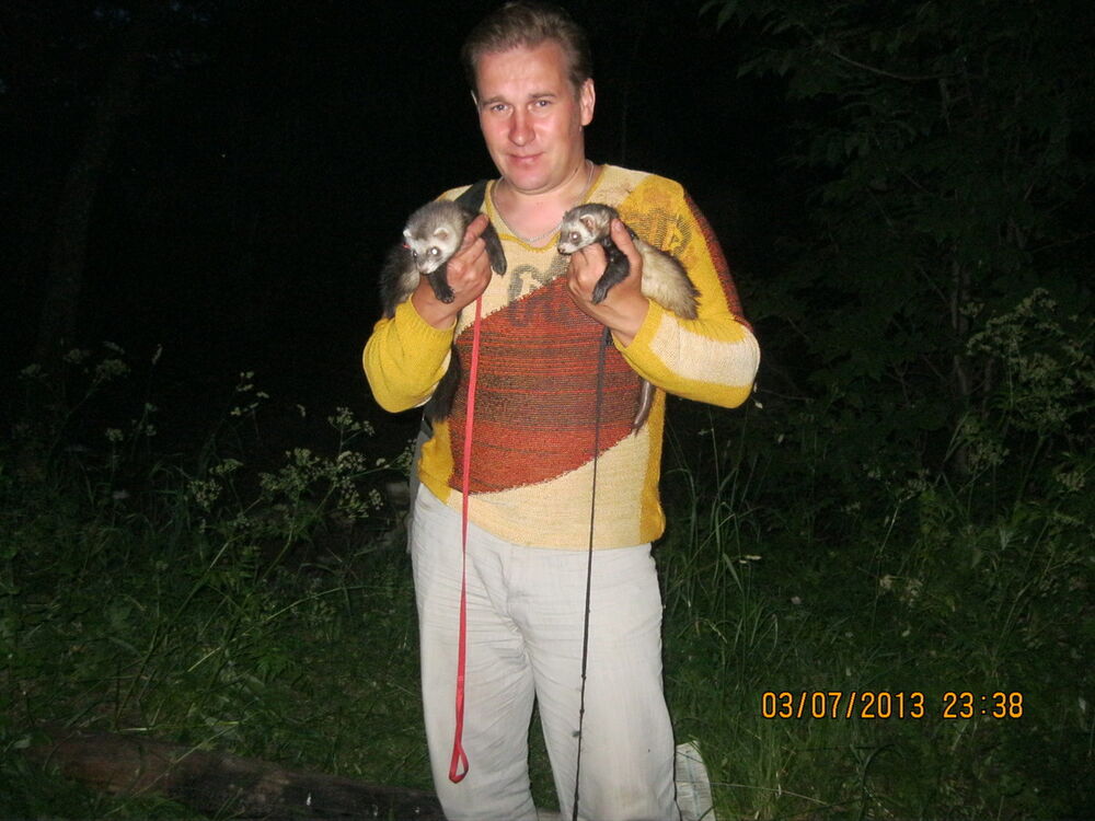 ���������� ���������, ���� ������� �������, 50 ���, ������������ ��� ������, ����� � ���������, c�������� ���������