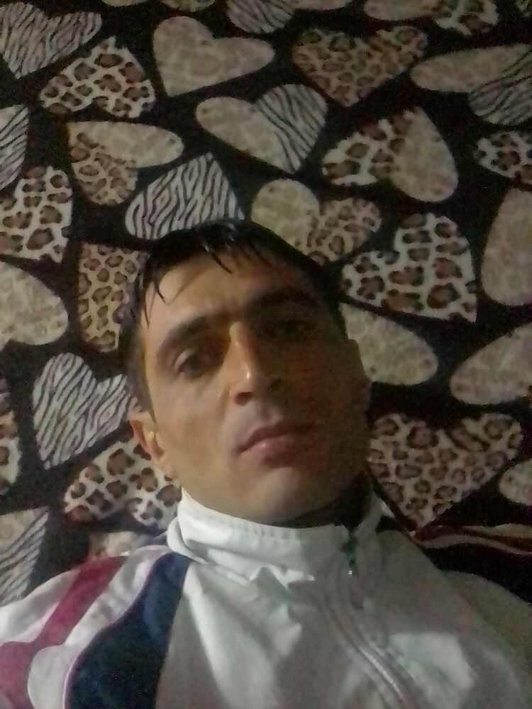 ���� 24213811 ������� Sargis, 38 ���, ���� ���������� � �������-��-����