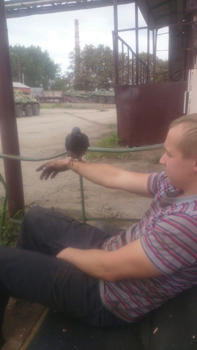 ���� 12616661 ������� ���, 33 ����, ���� ���������� � ����