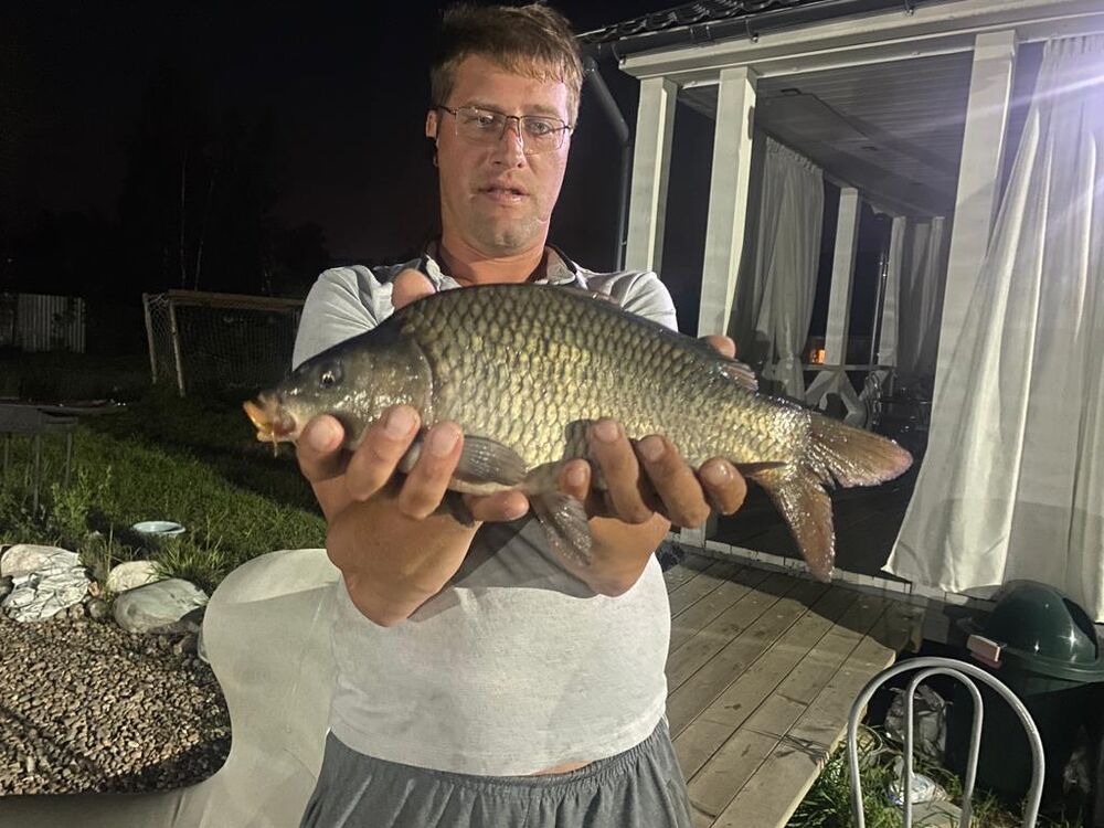 ���� 37364281 ������� ������, 44 ����, ���� ���������� � �����-����������