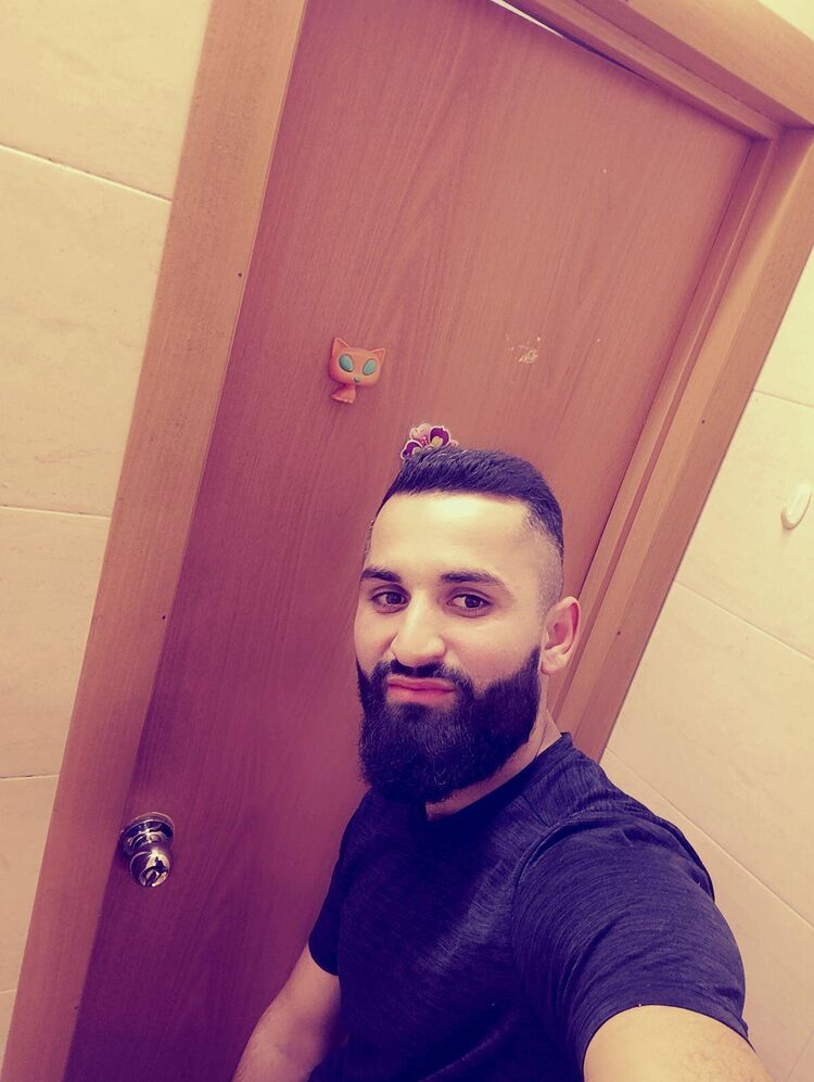 52995171  , 31 ,    -
