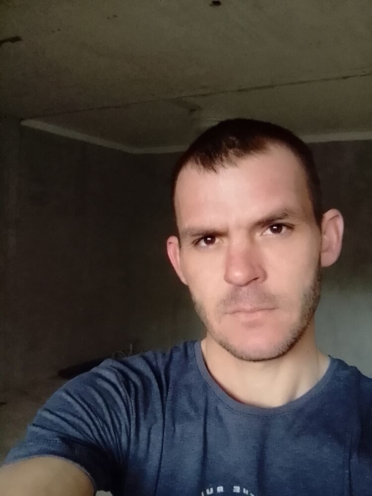  53122831  , 38 ,    