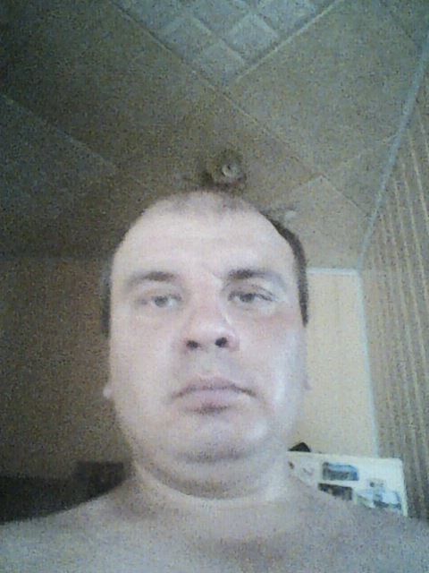  23955461  , 36 ,    