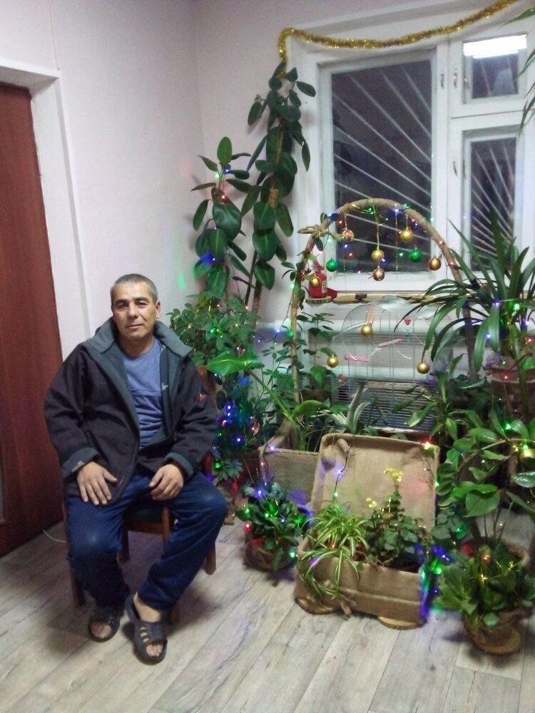  29573641  , 53 ,    