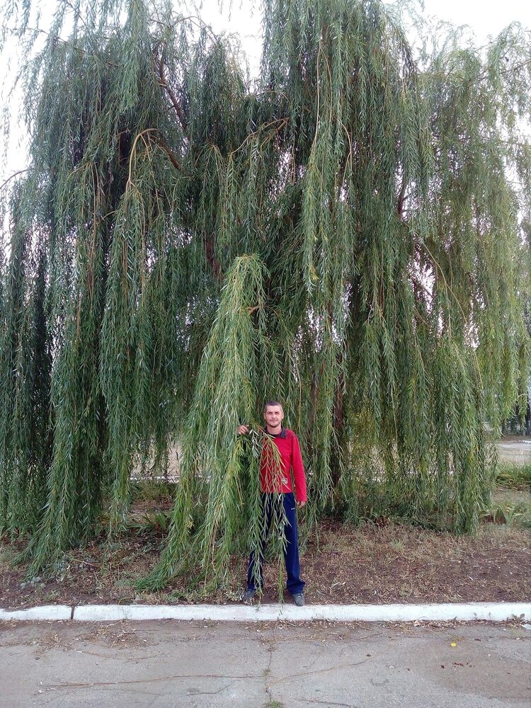 ���������� �����, ���� ������� �������, 47 ���, ������������ ��� ������, ����� � ���������