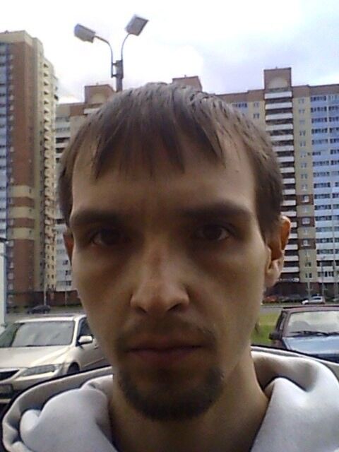 ���� 7345831 ������� ����, 42 ����, ���� ���������� � ���������