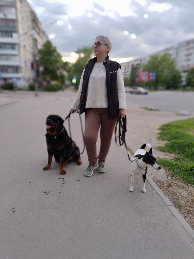 ���� 51771911 ������� ����, 50 ���, ���� ���������� � ���������