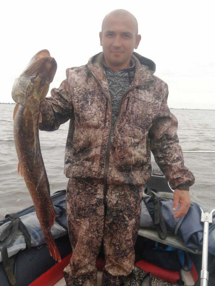 ���������� ������� ��������, ���� ������� ������, 43 ����, ������������ ��� ������, ����� � ���������