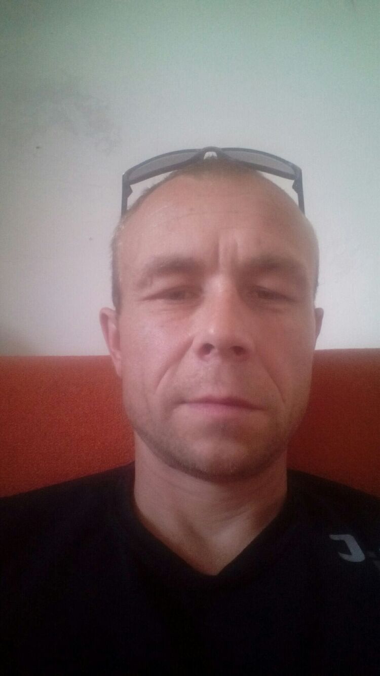  23658421  , 43 ,    -