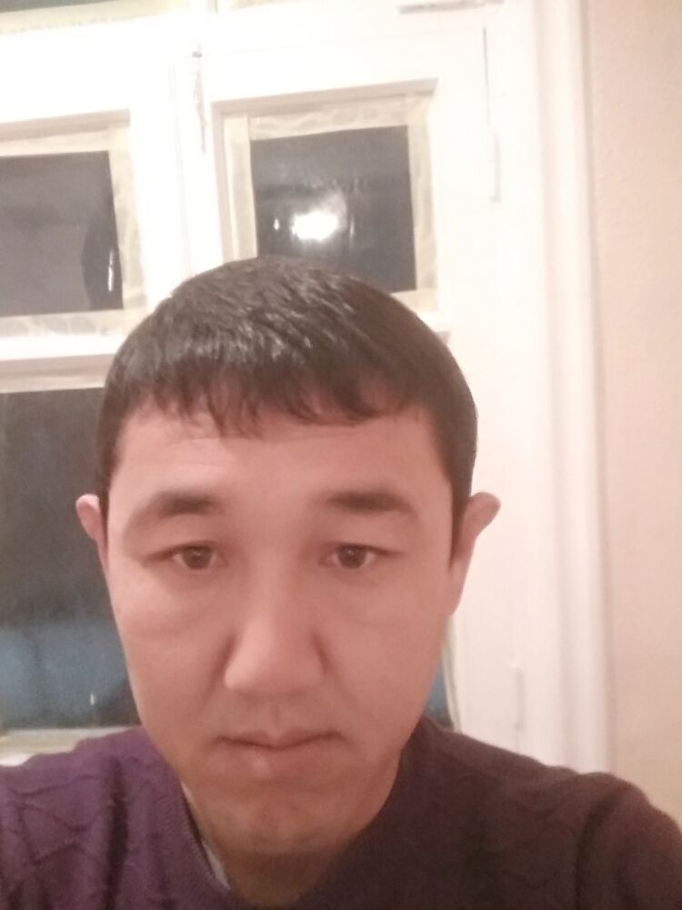  24958561  , 41 ,    
