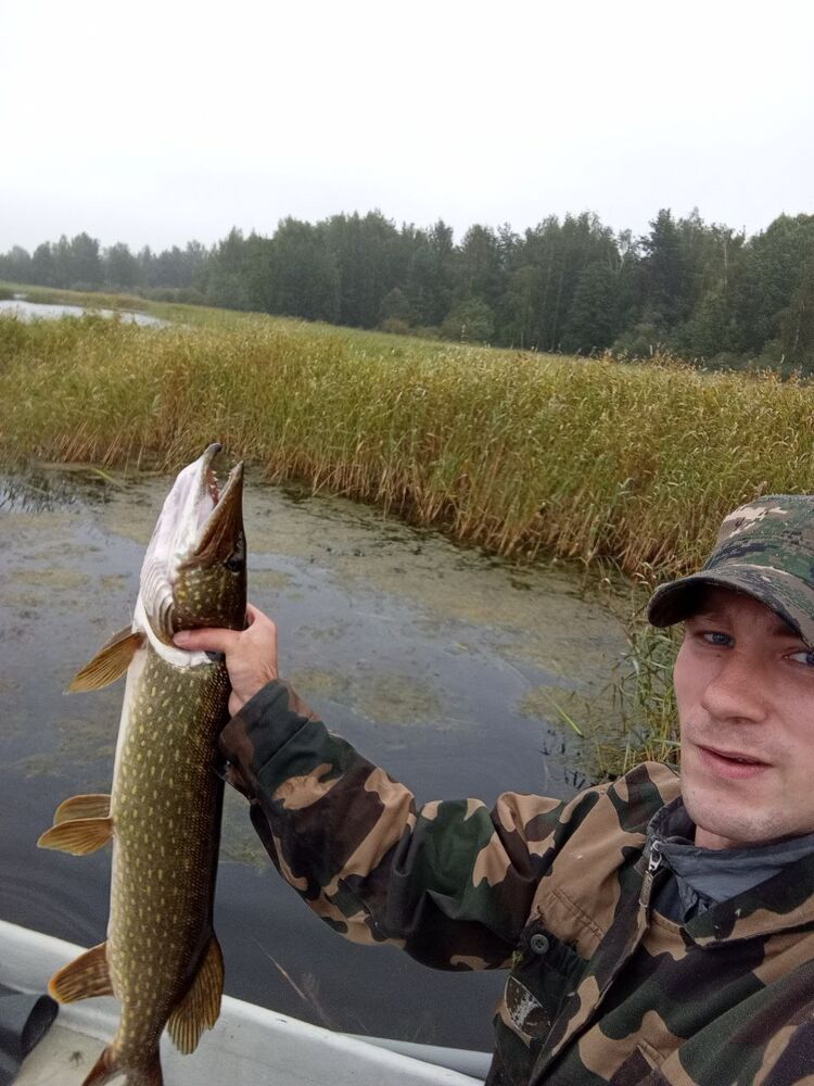  54551691  Sprut, 26 ,    -