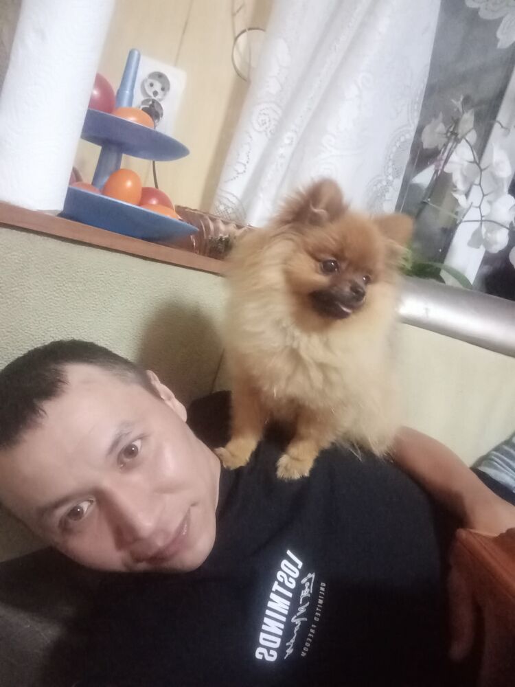  ,   , 40 ,   ,   , 