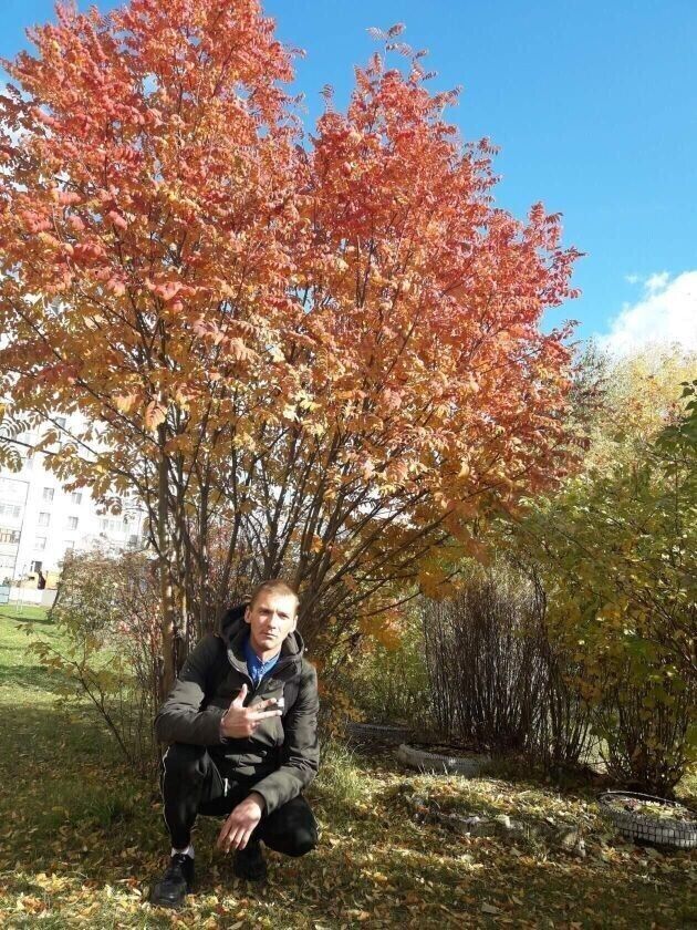 ���� 43397051 ������� �������, 40 ���, ���� ���������� � ������