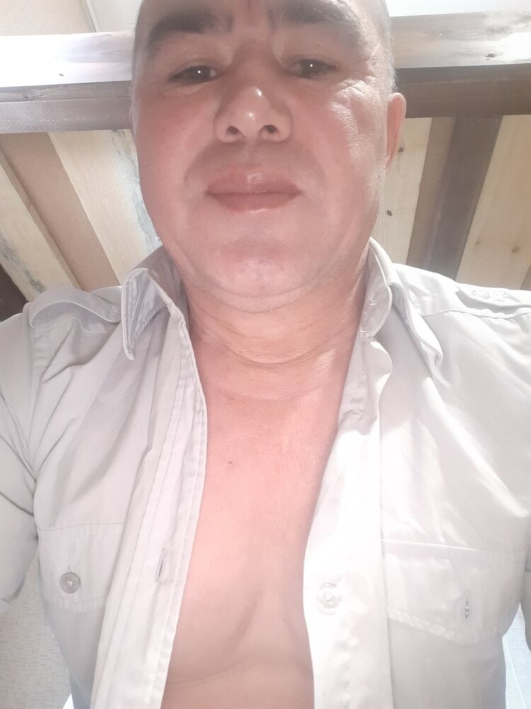  26318831  , 56 ,    