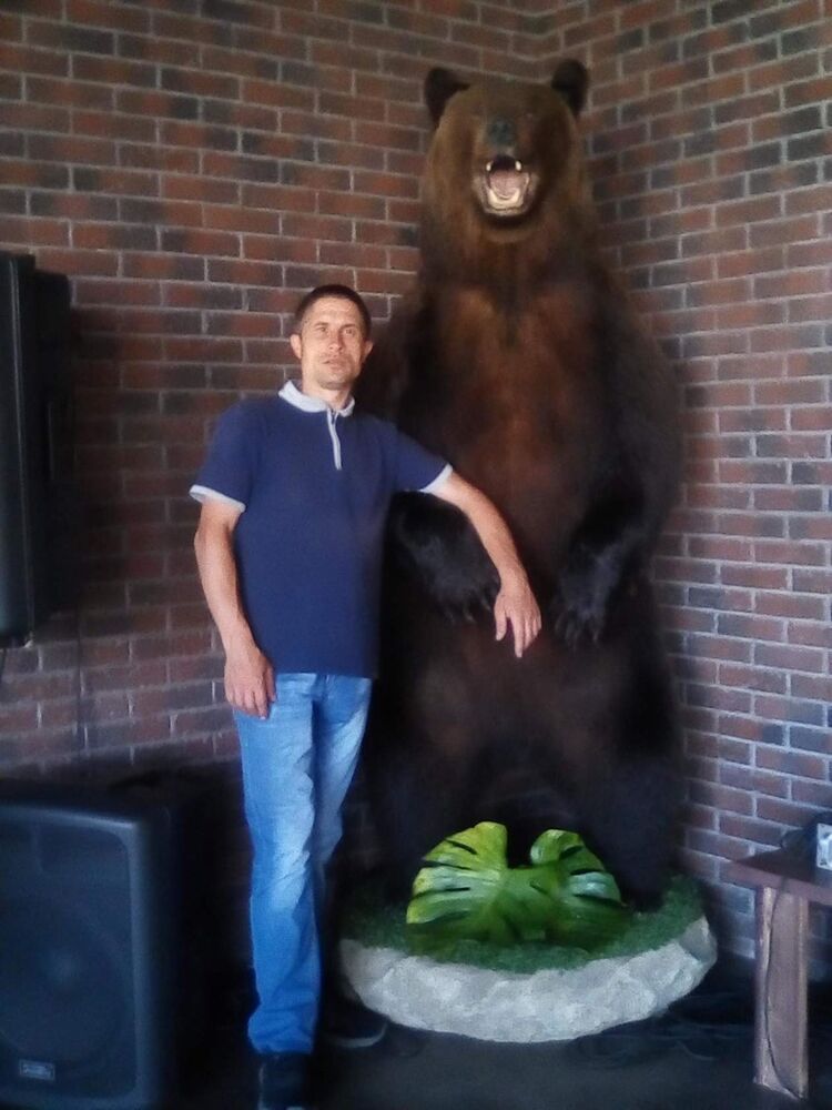 ���������� ������, ���� ������� ���������, 38 ���, ������������ ��� ������, ����� � ���������, c�������� ���������